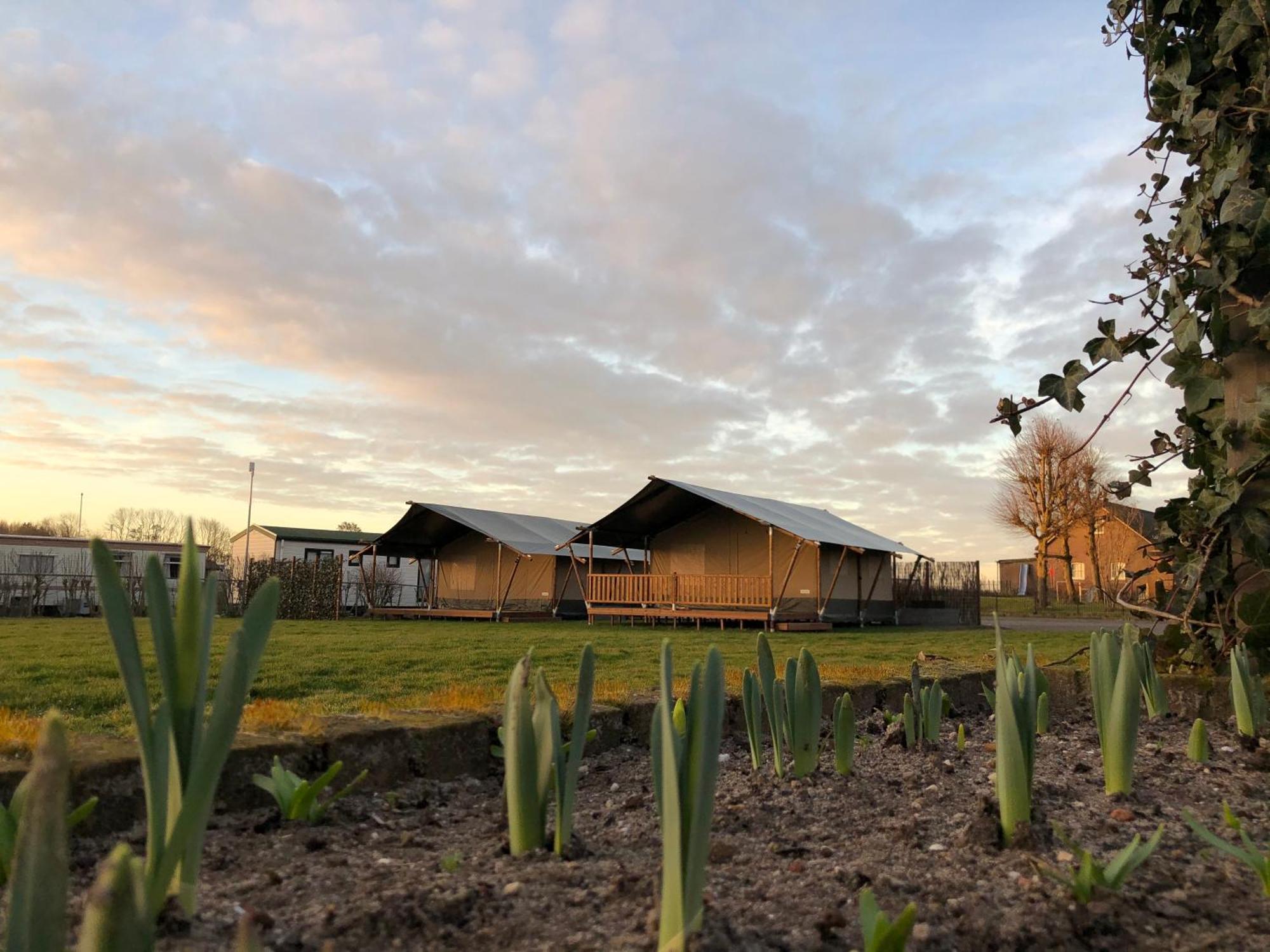 Glamping De Hof Van Eeden Warmond ภายนอก รูปภาพ